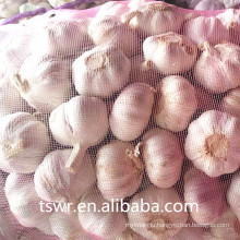 2020 new crop high quality garlic